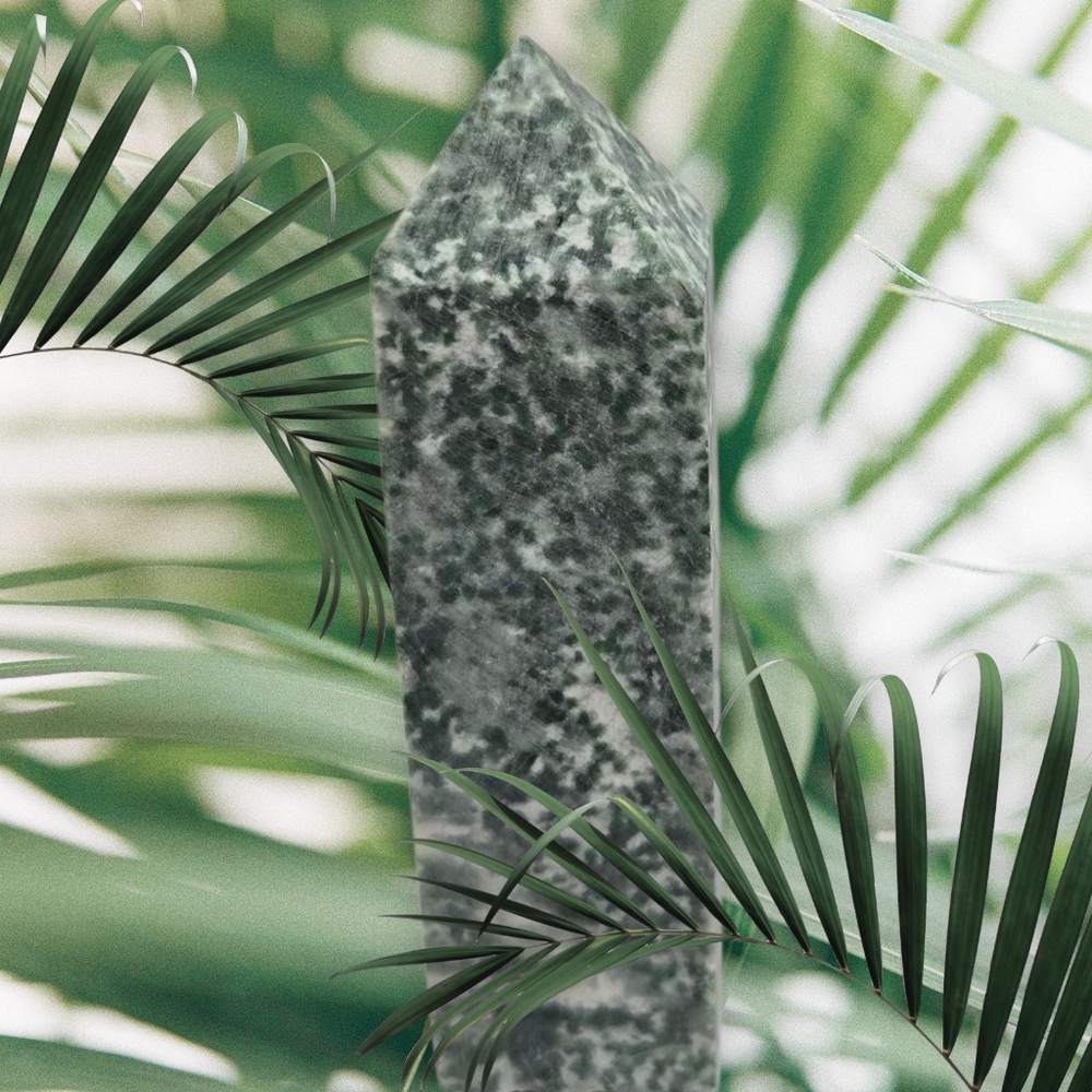 Tree Agate Point